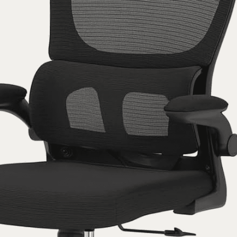Detalhe do apoio lombar em tela mesh